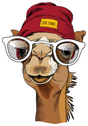 Camel Portrait With A Glasses And In A Hipster Hat Sticker
