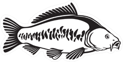 Carp Illustration Sticker