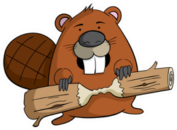 Cartoon Beaver With A Piece Of Wood Sticker