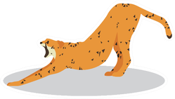 Cartoon Cheetah Stretching Back Sticker