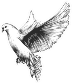 Engraved Style Illustration Of Dove Sticker