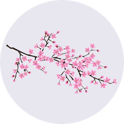Cherry Blossom Sakura Tree Branch Sticker