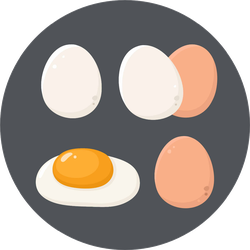 Chicken Eggs Food Icon Sticker
