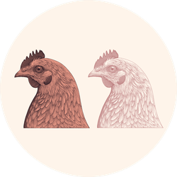 Chicken Head Design Set Illustration Sticker