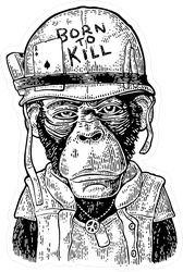 Chimpanzee Monkey Dressed As Soldier Sticker