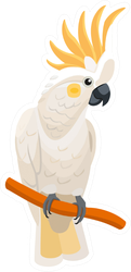 Cockatoo Cartoon Isolated On White Background Sticker