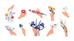Collection Of Florist Hands Holding Bouquets Sticker
