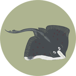 Colorful Cartoon Stingray Illustration In Green Sticker