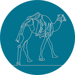 Continuous Line. The Camel Is Walking In The Desert Blue Sticker