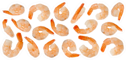 Cooked Refined Shrimps Sticker