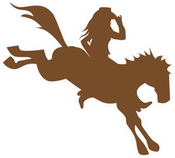 Cowgirl On Wild Horse Sticker