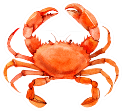 Crab Isolated On White Background Watercolor Sticker