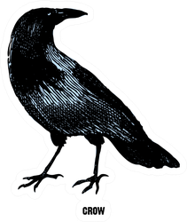 Crow From "the Complete Encyclopedia Of Illustrations" Sticker