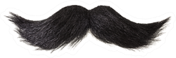 Curly Black Mustache Isolated On White Sticker