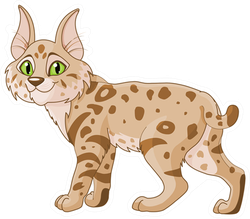 Cute Bobcat Sticker