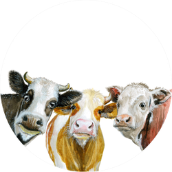 Cute Cows Watercolor Illustration Isolated On White Sticker