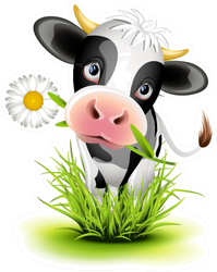 Cute Holstein Cow In Green Grass Sticker