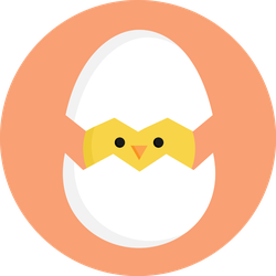 Cute Little Chick In Cracked Egg Colorful Sticker