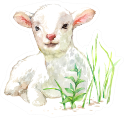 Cute Little Lamb On Watercolor Illustration Sticker