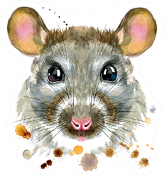 Cute Rat Watercolor Rat Illustration Sticker