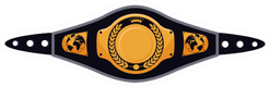 Champion Belt For Boxing, Kickboxing Or Wrestling Sticker