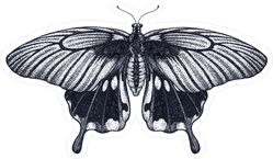 Tropical Butterfly Ink Drawing Sticker