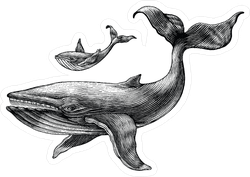Big Whale And Little Whale Hand Drawing Sticker