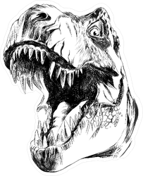 Dinosaur Head Sketch Sticker