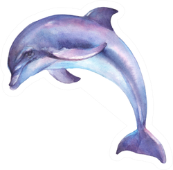 Dolphin Jumping Watercolor Illustration Sticker