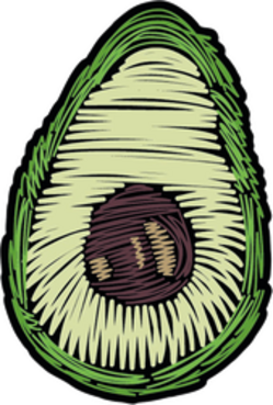 Avocado Scribbles Sticker