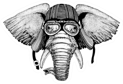 Elephant Wild Biker Animal Wearing Motorcycle Helmet Sticker