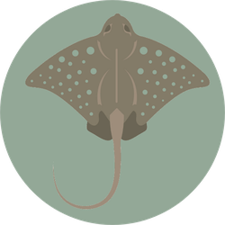 Grey Blue Spotted Stingray Sticker