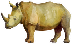 Watercolor Illustration Rhino Sticker