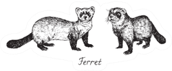 Ferret Couple, Side View, Hand Drawn Sticker
