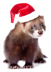 Ferret In Red Christmas Hat Looking At Camera Sticker