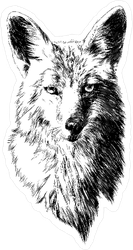 Fox Head Illustration Sticker