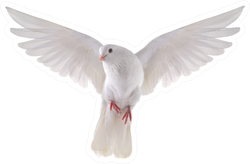 Free Flying White Dove Isolated On A White Background Sticker