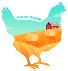 From Farm Illustration In Chicken Sticker