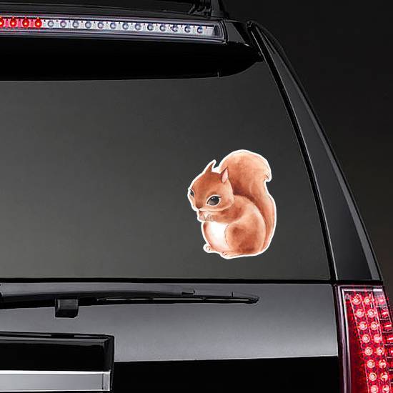 Squirrel Cute Watercolor Illustration Sticker