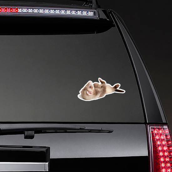 Little Ferret Puppy Lying On Back Sticker