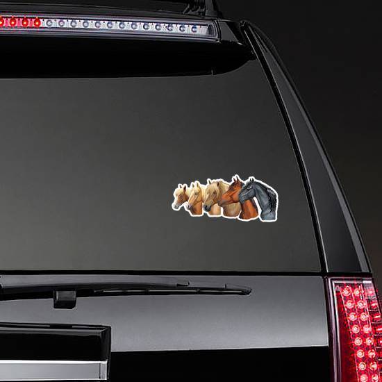 Portraits Of Horses Breeds Looking In Profile Sticker