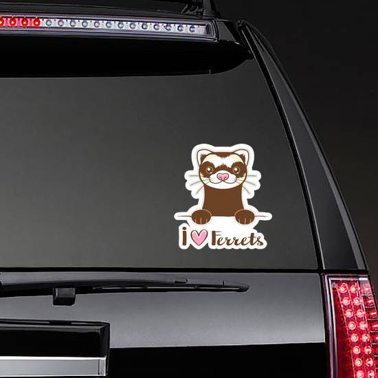 Cute Cartoon I Heart Ferrets Sticker