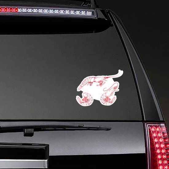 Hand Drawn Shrimp Set Sticker