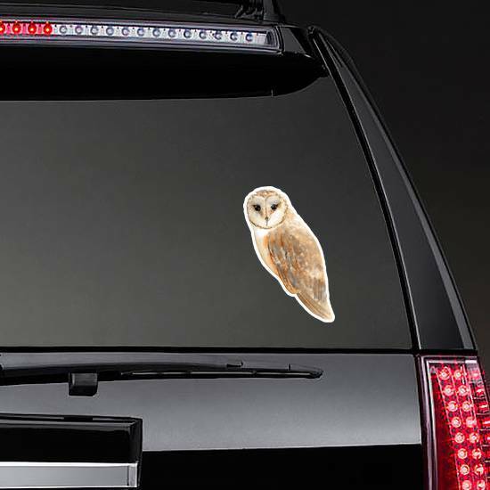 Watercolor Brown Owl Sticker on a Rear Car Window example 