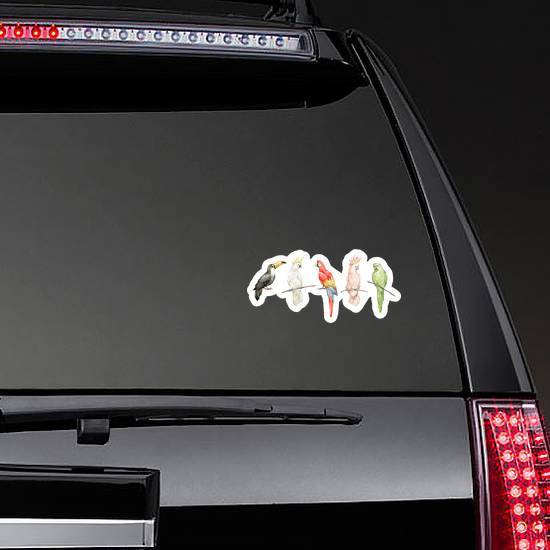 Watercolor Set With Colorful Parrots Cockatoos Sticker example