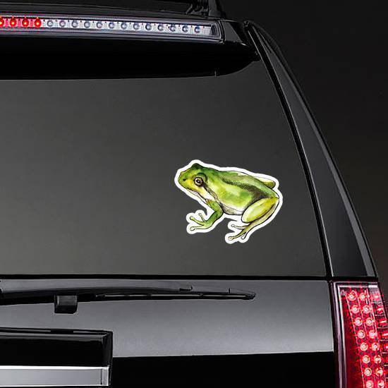 Sketch Watercolor Green Frog Sticker example 