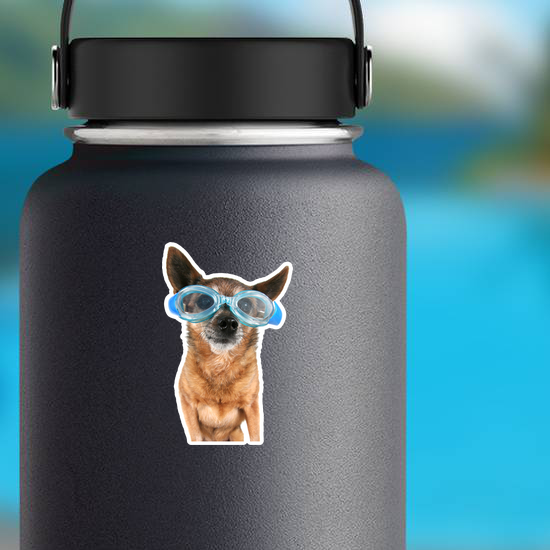 A Chihuahua Wearing Goggles Swim Sticker