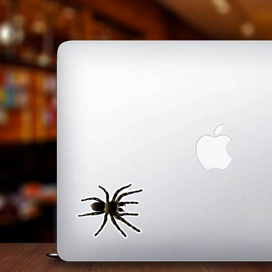Arachnid Spider Tarantula Sticker