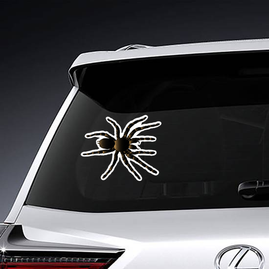 Arachnid Spider Tarantula Sticker