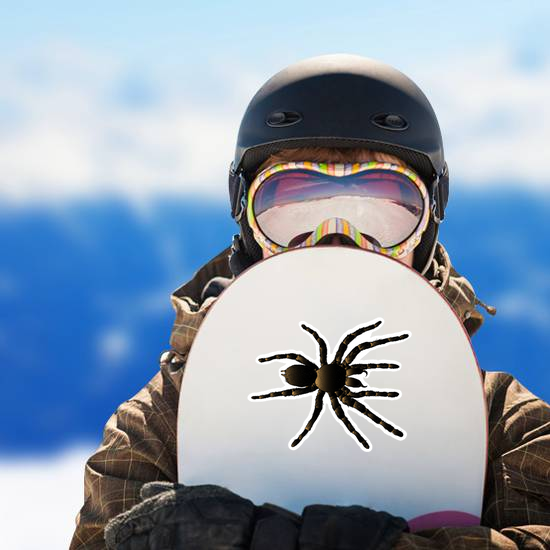 Arachnid Spider Tarantula Sticker